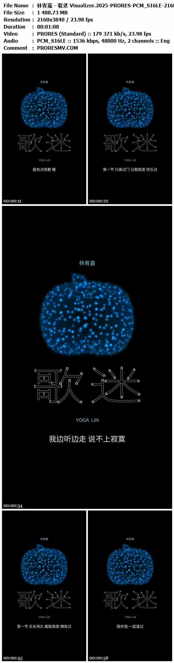 林宥嘉 - 歌迷 Visualizer.2025-PRORES-PCM_S16LE-2160x3840P-24fps-1536kbs-1.45GB官方MV_高清MV